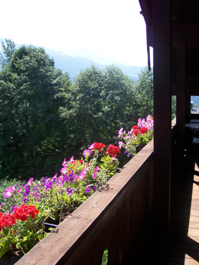 Sommer am Haus Auf der Sonnseit – Bild 11