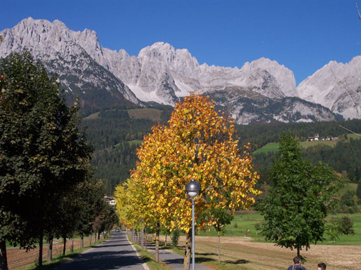 Sommer am Haus Auf der Sonnseit – Bild 13