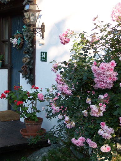 Sommer am Haus Auf der Sonnseit – Bild 9