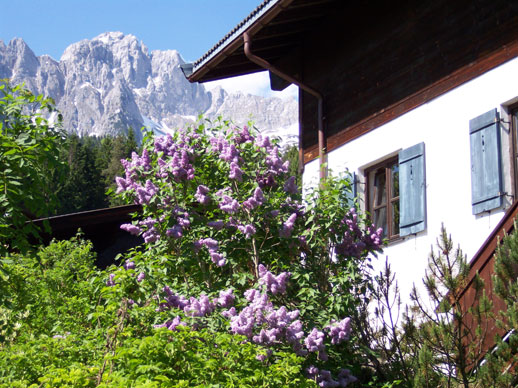 Sommer am Haus Auf der Sonnseit – Bild 7