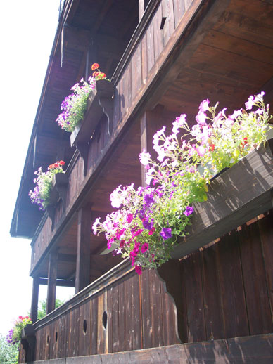 Sommer am Haus Auf der Sonnseit – Bild 10